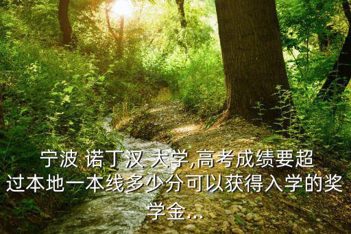 寧波 諾丁漢 大學(xué),高考成績(jī)要超過(guò)本地一本線多少分可以獲得入學(xué)的獎(jiǎng)學(xué)金...
