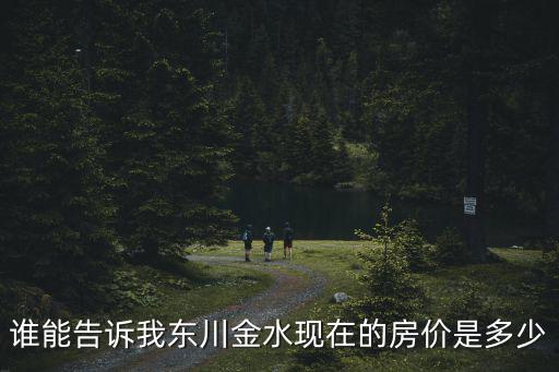 誰能告訴我東川金水現在的房價是多少