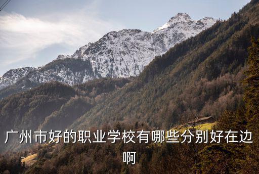 廣州市好的職業(yè)學(xué)校有哪些分別好在邊啊