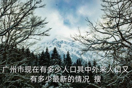 廣州市現在有多少人口其中外來人口又有多少最新的情況  搜