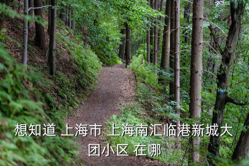 想知道 上海市 上海南匯臨港新城大團(tuán)小區(qū) 在哪