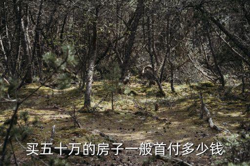 買五十萬的房子一般首付多少錢