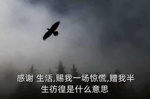 感謝生活,感謝生活給我一個慌,給我半條命猶豫