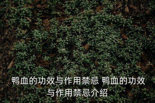 鴨血功效,一文讀懂!關于鴨血你必須知道的5件事