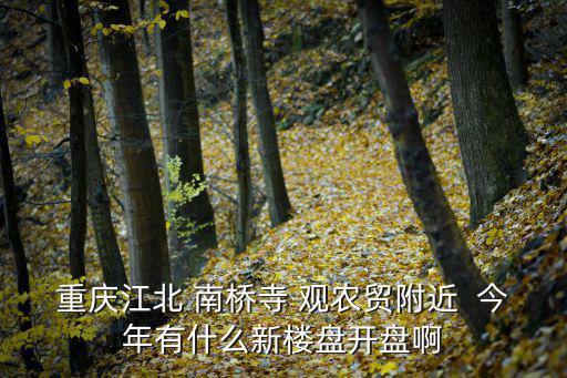 奉賢即將開盤的新樓盤在哪里，大家好現在商丘市區哪里有即將開盤的新樓盤謝謝了