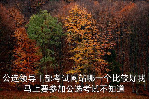 公選領(lǐng)導(dǎo)干部考試網(wǎng)站哪一個(gè)比較好我馬上要參加公選考試不知道