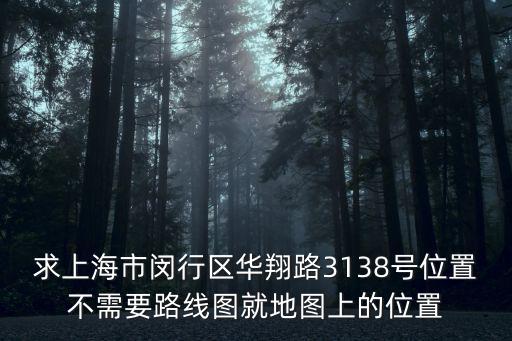 上海閔行區地圖全圖高清版大圖，求上海市閔行區華翔路3138號位置不需要路線圖就地圖上的位置