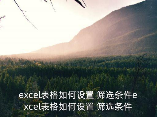 excel表格如何設置 篩選條件excel表格如何設置 篩選條件