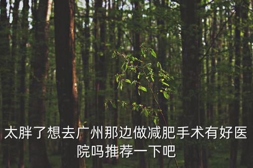 太胖了想去廣州那邊做減肥手術有好醫院嗎推薦一下吧