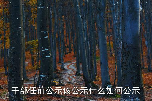 麗水市委干部任前公示，浙江省麗水市