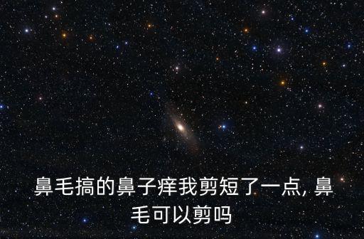 鼻毛剪,鼻毛太少沒過濾鼻涕變干粘在鼻腔里