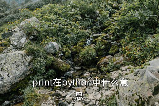  print在python中什么意思