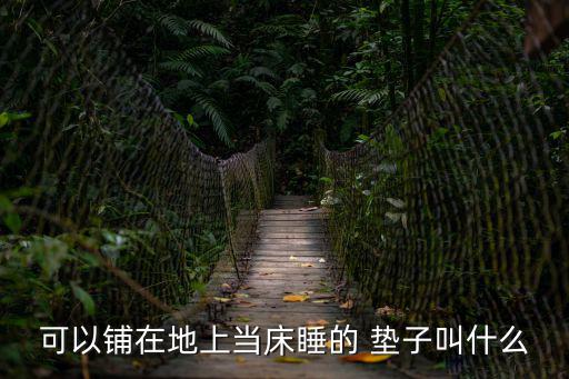 可以鋪在地上當(dāng)床睡的 墊子叫什么