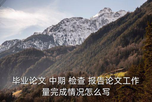 畢業論文 中期 檢查 報告論文工作量完成情況怎么寫