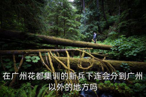 在廣州花都集訓的新兵下連會分到廣州以外的地方嗎