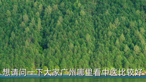 想請問一下大家廣州哪里看中醫比較好