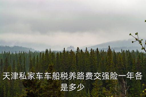 天津私家車車船稅養(yǎng)路費交強險一年各是多少