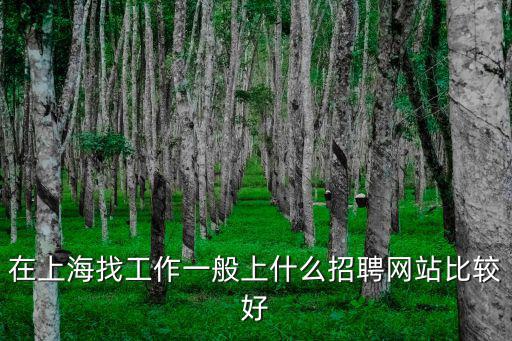 在上海找工作一般上什么招聘網站比較好