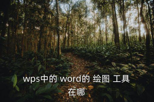 wps中的 word的 繪圖 工具在哪