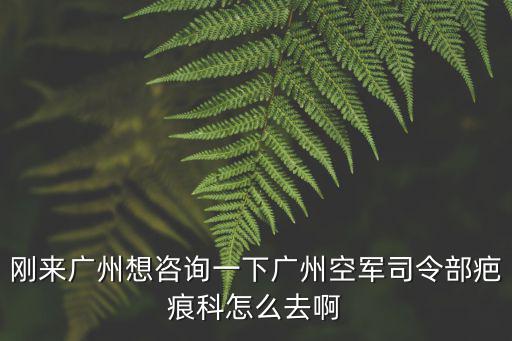 剛來廣州想咨詢一下廣州空軍司令部疤痕科怎么去啊