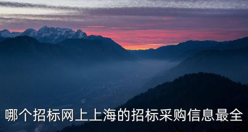 上海政府官網(wǎng)首頁一網(wǎng)，上海國有企業(yè)招標(biāo)一般在哪些網(wǎng)站公示