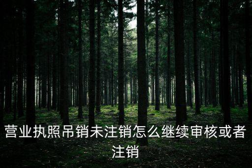 公司營業(yè)執(zhí)照吊銷未注銷怎么辦，工商吊銷未注銷