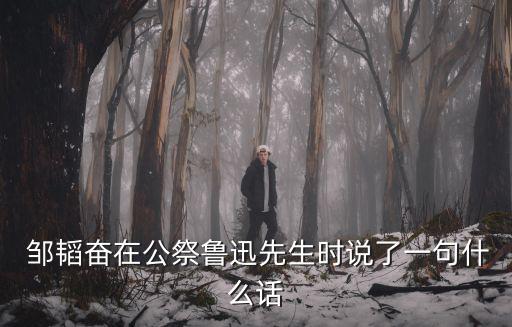  鄒韜奮在公祭魯迅先生時說了一句什么話