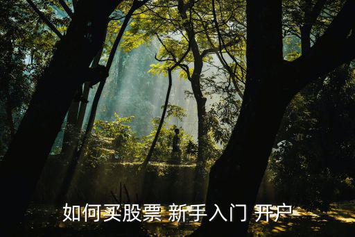 新手怎樣開戶炒股,手機app開戶和去營業部開戶一樣簡單