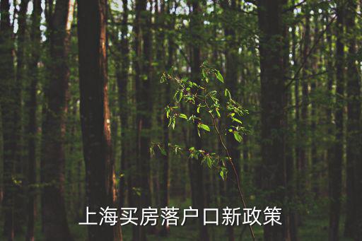 上海買房落戶口新政策