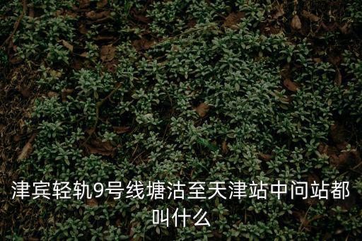 天津市9號線站臺名，津賓輕軌9號線塘沽至天津站中問站都叫什么