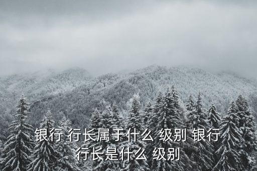  銀行 行長屬于什么 級別 銀行 行長是什么 級別