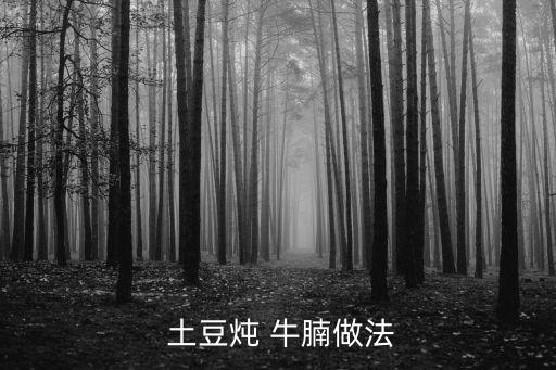 牛腩燉土豆的做法,牛腩怎么做好吃的!