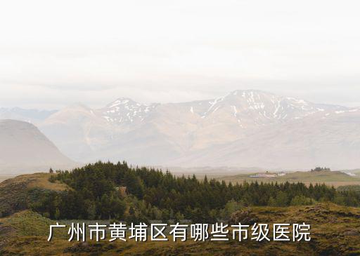 廣州市黃埔區(qū)有哪些市級醫(yī)院