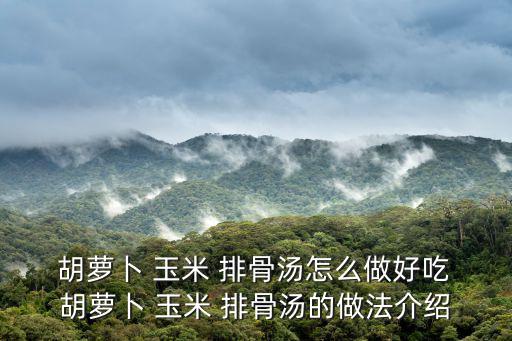  胡蘿卜 玉米 排骨湯怎么做好吃 胡蘿卜 玉米 排骨湯的做法介紹