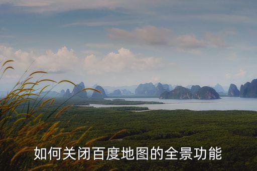 如何關閉百度地圖的全景功能