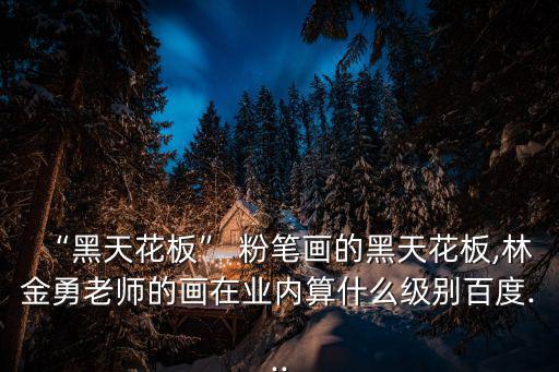 “黑天花板” 粉筆畫的黑天花板,林金勇老師的畫在業內算什么級別百度...