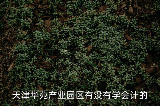 天津華苑產業園區有沒有學會計的