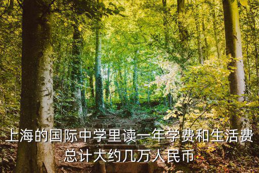 上海的國際中學里讀一年學費和生活費總計大約幾萬人民幣
