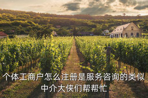 個體工商戶怎么注冊是服務咨詢的類似中介大俠們幫幫忙