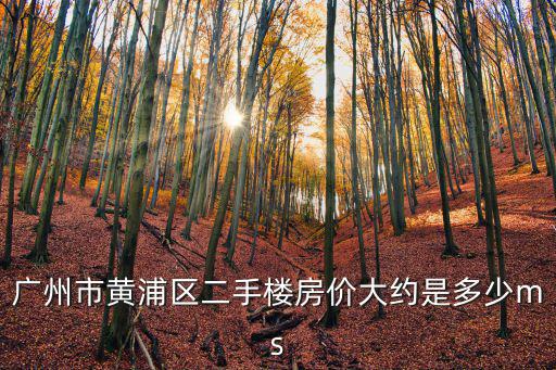 廣州市黃浦區二手樓房價大約是多少ms