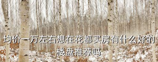均價一萬左右想在花都買房有什么好的樓盤推薦嗎