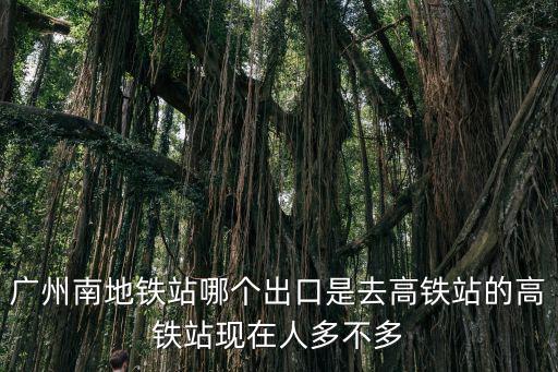 廣州南地鐵站哪個出口是去高鐵站的高鐵站現(xiàn)在人多不多