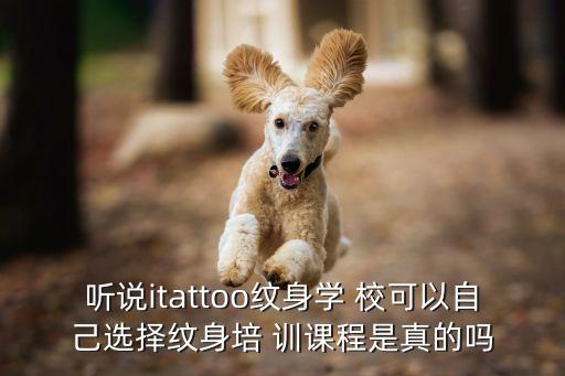 聽說itattoo紋身學 校可以自己選擇紋身培 訓課程是真的嗎