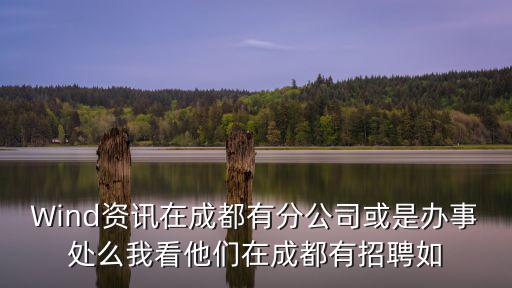 Wind資訊在成都有分公司或是辦事處么我看他們在成都有招聘如