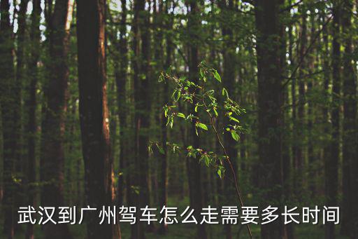 武漢到廣州駕車怎么走需要多長時間