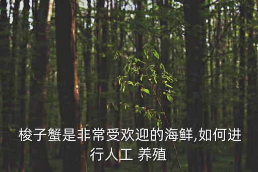 梭子蟹養殖,適合海水暫養育肥梭子蟹需要有足夠空地和水域