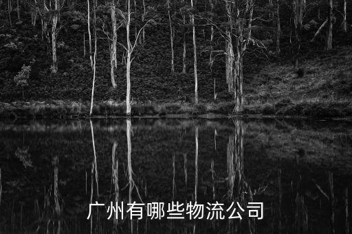 廣州有哪些物流公司