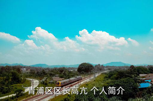 青浦區(qū)區(qū)長高亢 個人簡介