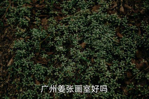 廣州姜張畫室好嗎