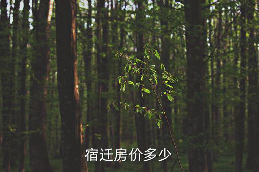 07年宿遷房價格如何，宿遷市宿城區房子價格資料